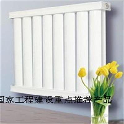 厂家直销暖贝尔散热器SCGGZY60/30-300-1.2云梯/工程家庭首选/中国采暖散热器行业十佳品牌图片_高清图_细节图-临朐国泰暖通设备 -