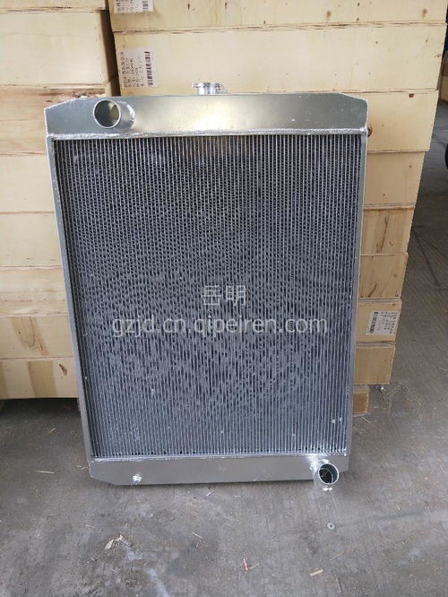 【大宇300-3散热器,大宇300-3价格,图片,配件厂家】